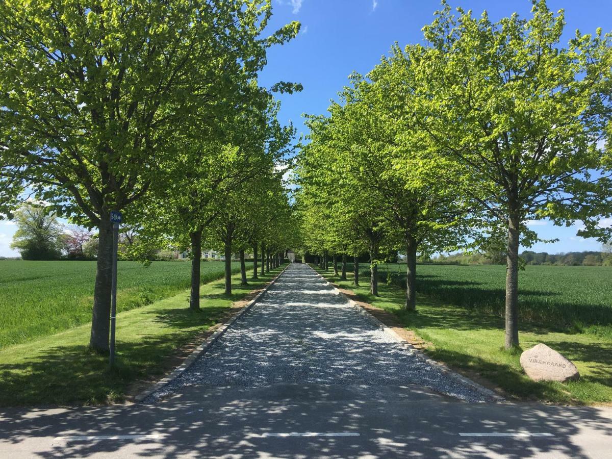 Villa Vibaek à Sønderborg Extérieur photo